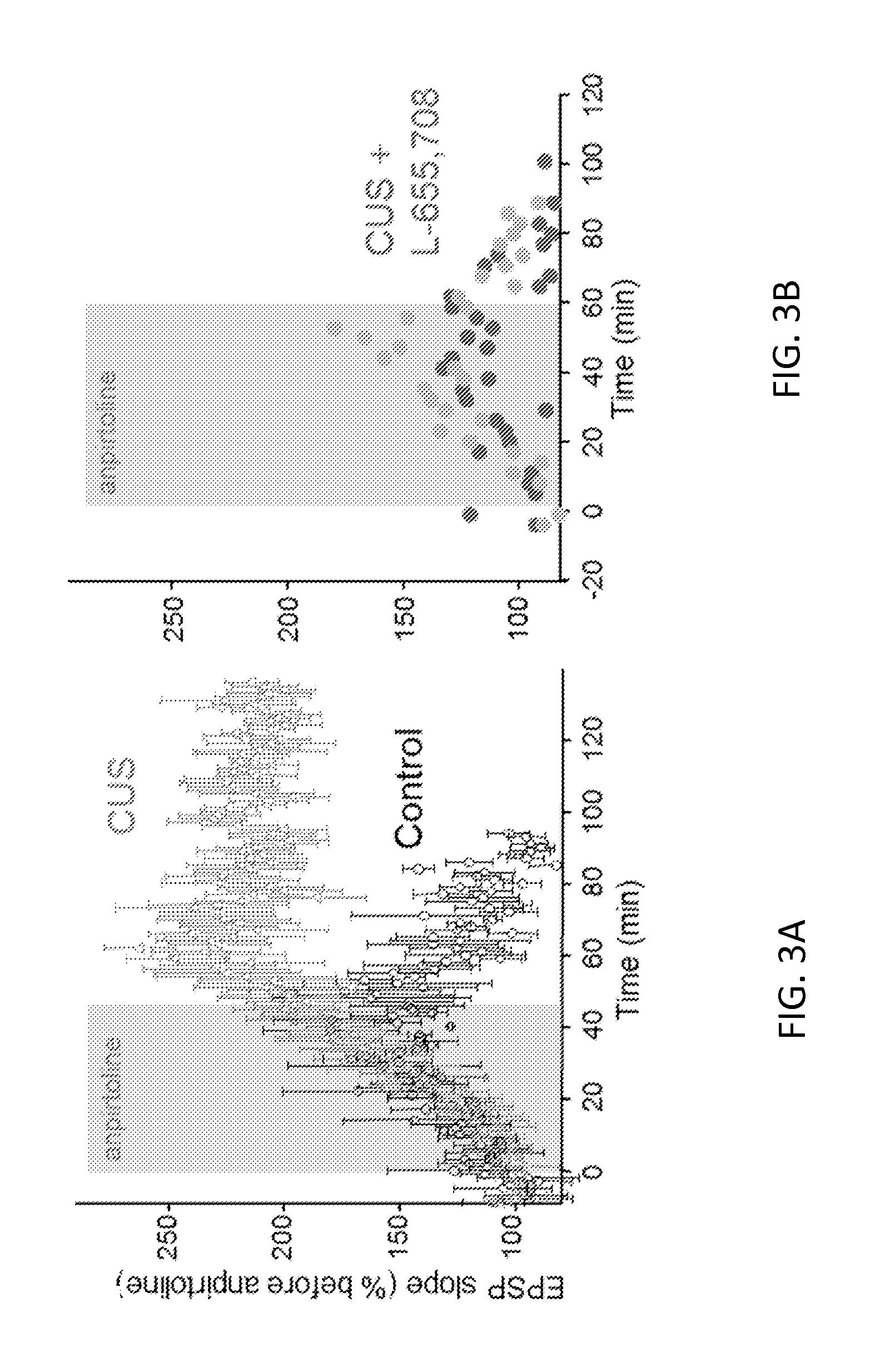 Use of negative modulators of gaba receptors containing alpha5 subunits as fast acting antidepressants