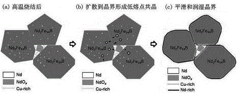 High coercivity low dysprosium (terbium) NdFeB magnet based on crystal boundary modification