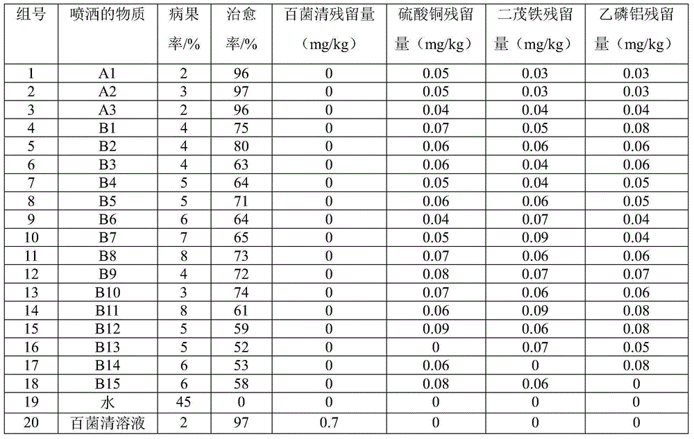 Strawberry white leaf spot prevention and control bacteriostat, and preparation method and application thereof