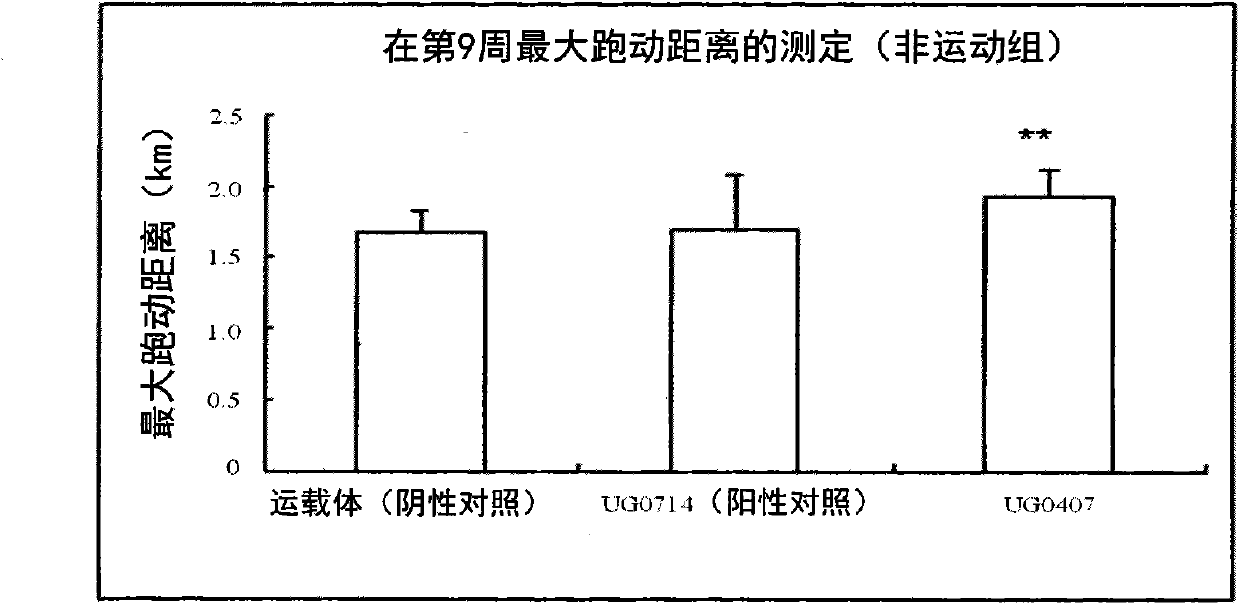 Leaves extract of panax sp., a process of making the same and uses thereof