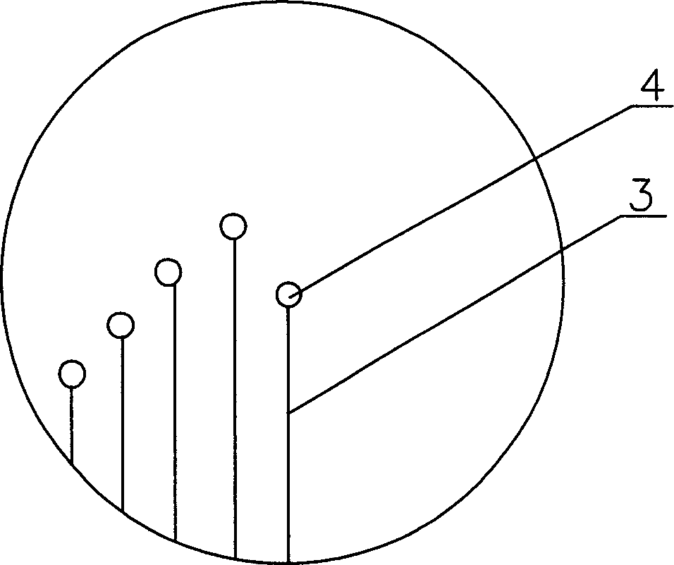 Toothbrush with round bead headed brush and its production process