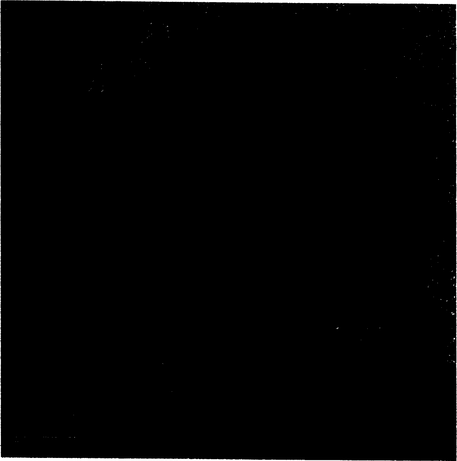 Prepn process of nanometer BN and B-C-N capsule or nanometer fullerene-like particle