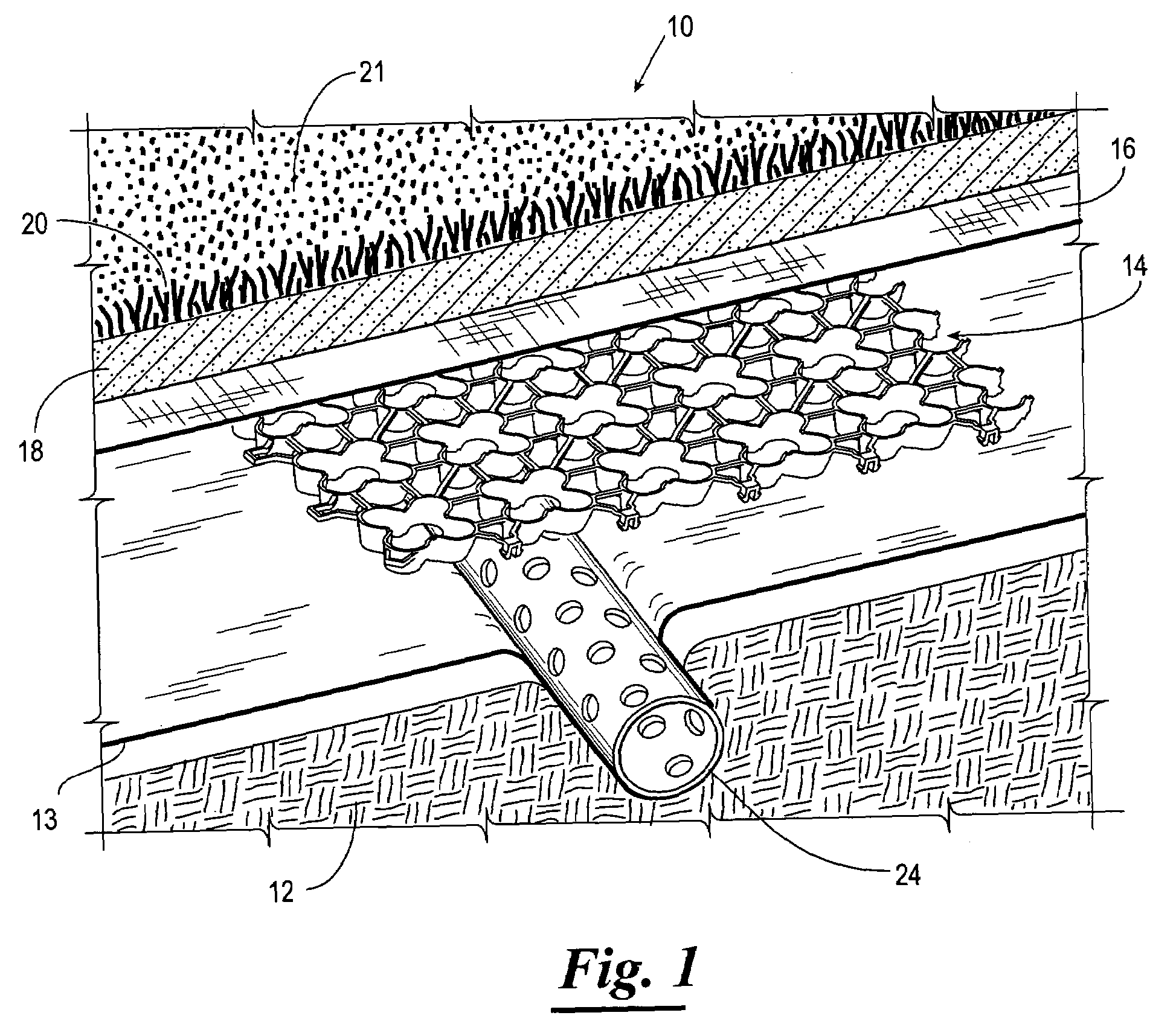 Subsurface drainage system and drain structure therefor