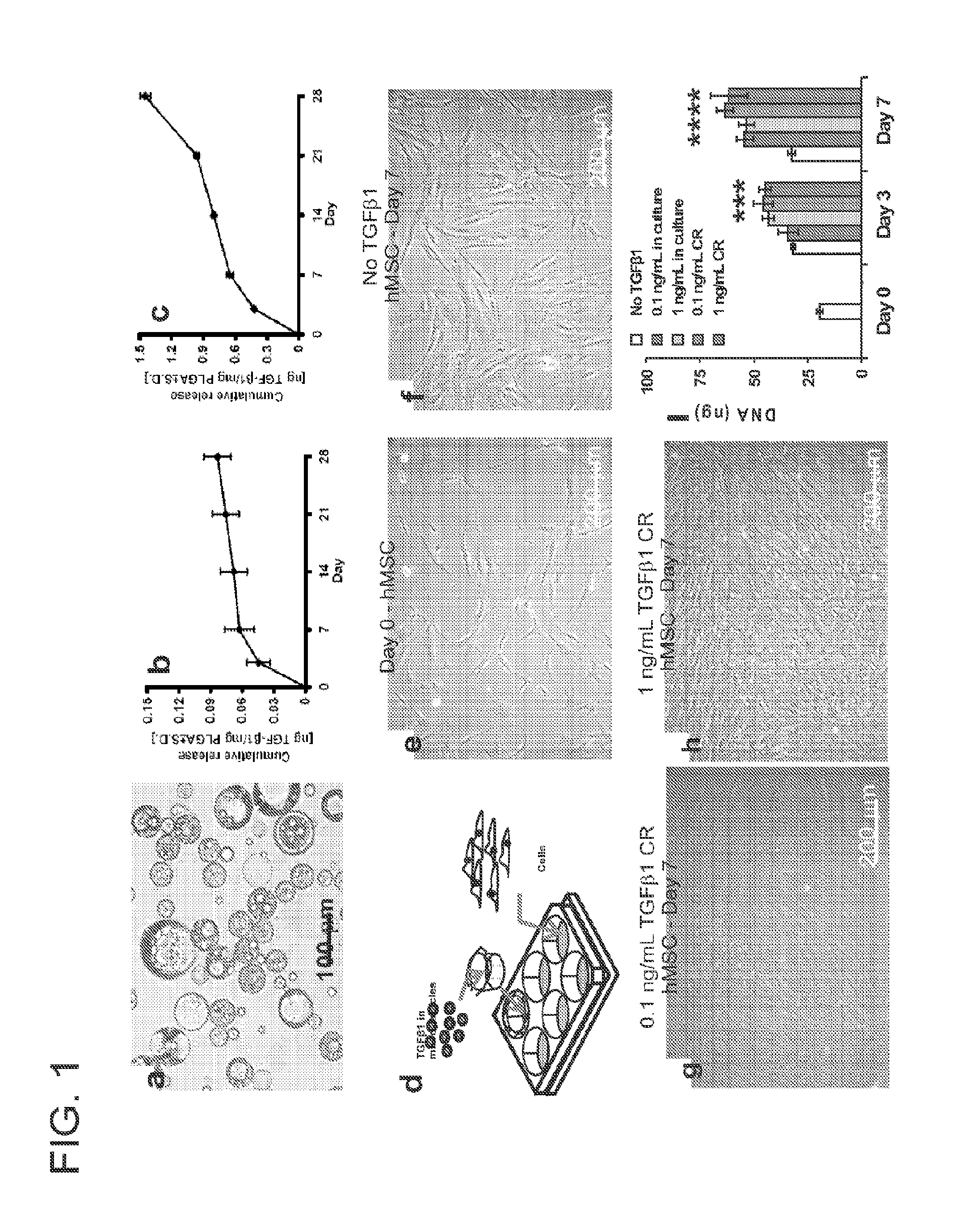 Porous implants and stents as controlled release drug delivery carriers