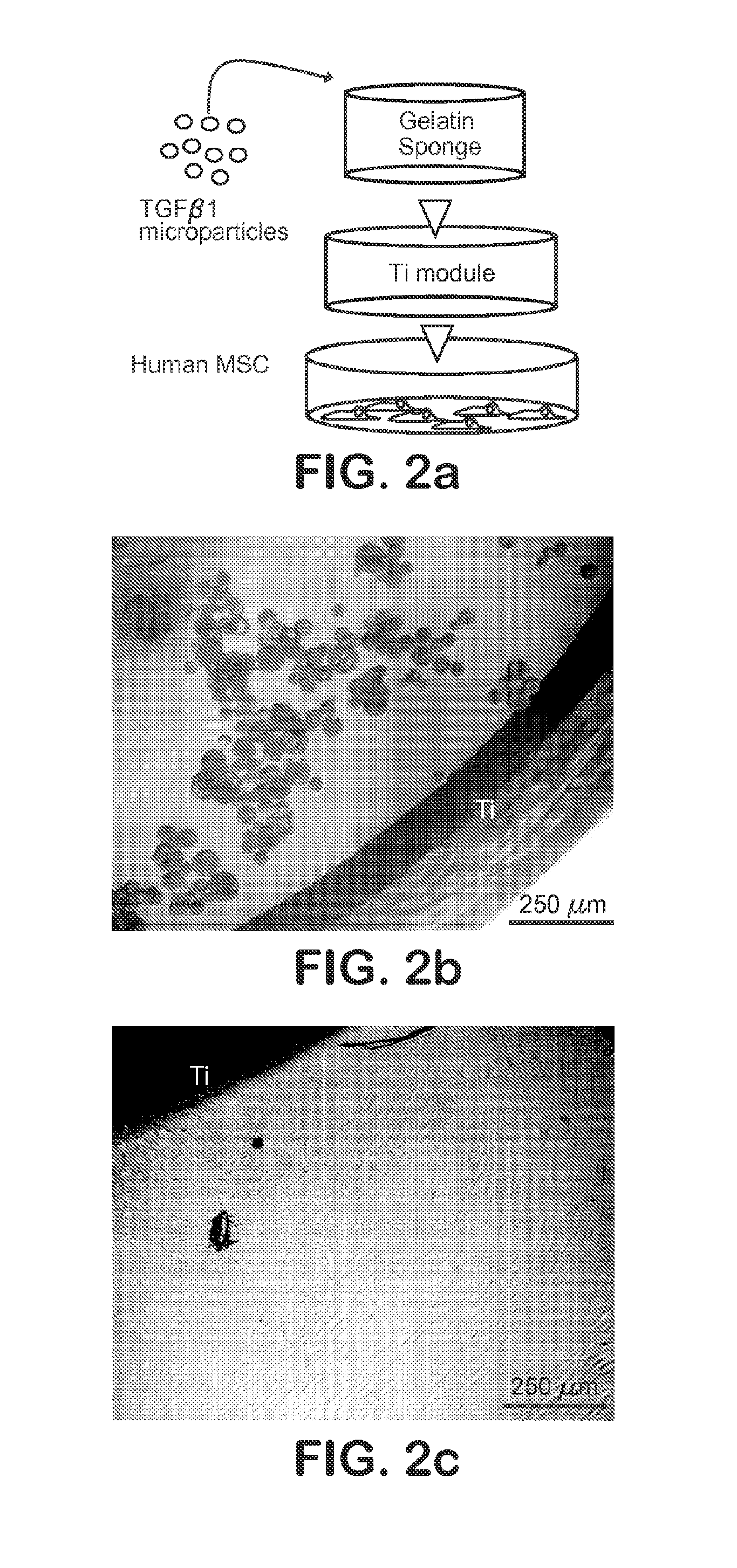 Porous implants and stents as controlled release drug delivery carriers