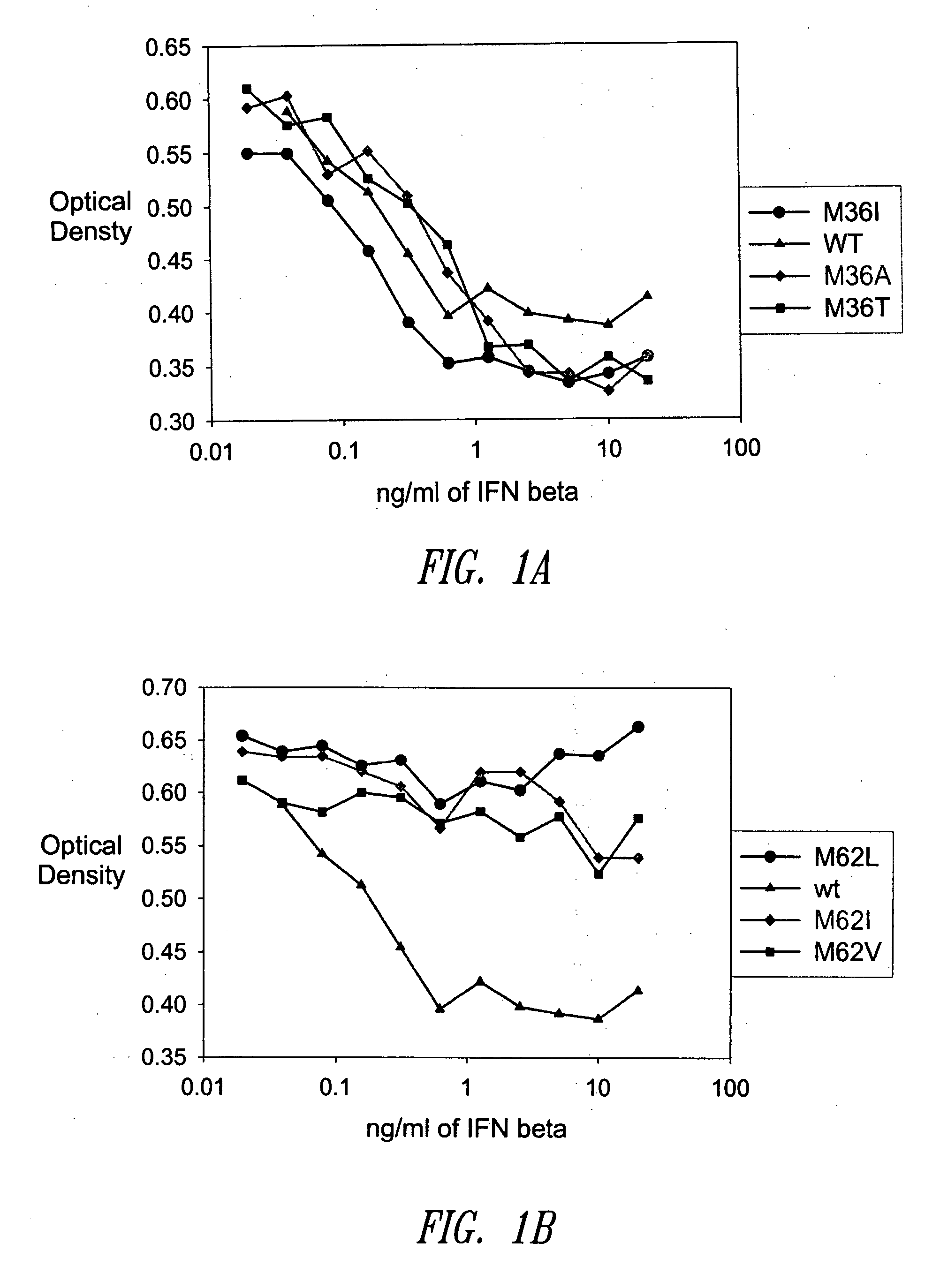 Amino acid substituted molecules