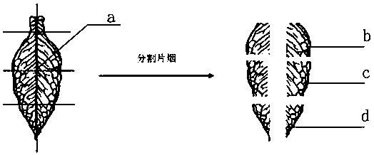 A pretreatment method and pretreatment tool for tobacco leaves before roasting