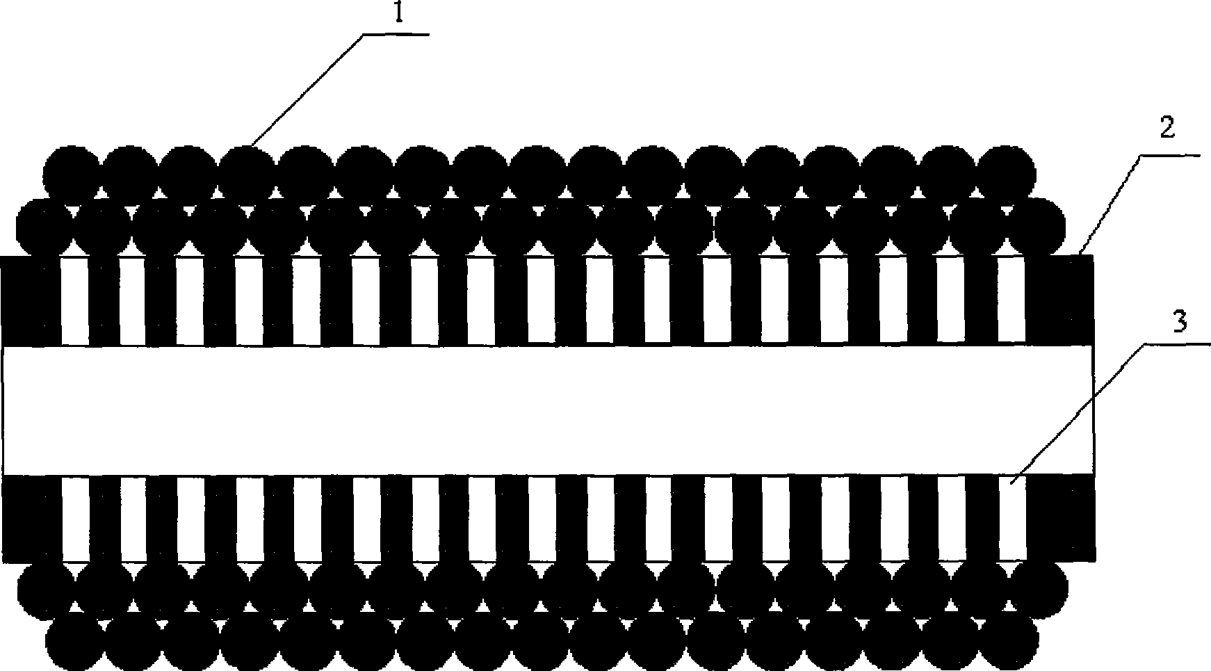 Membrane module of filter