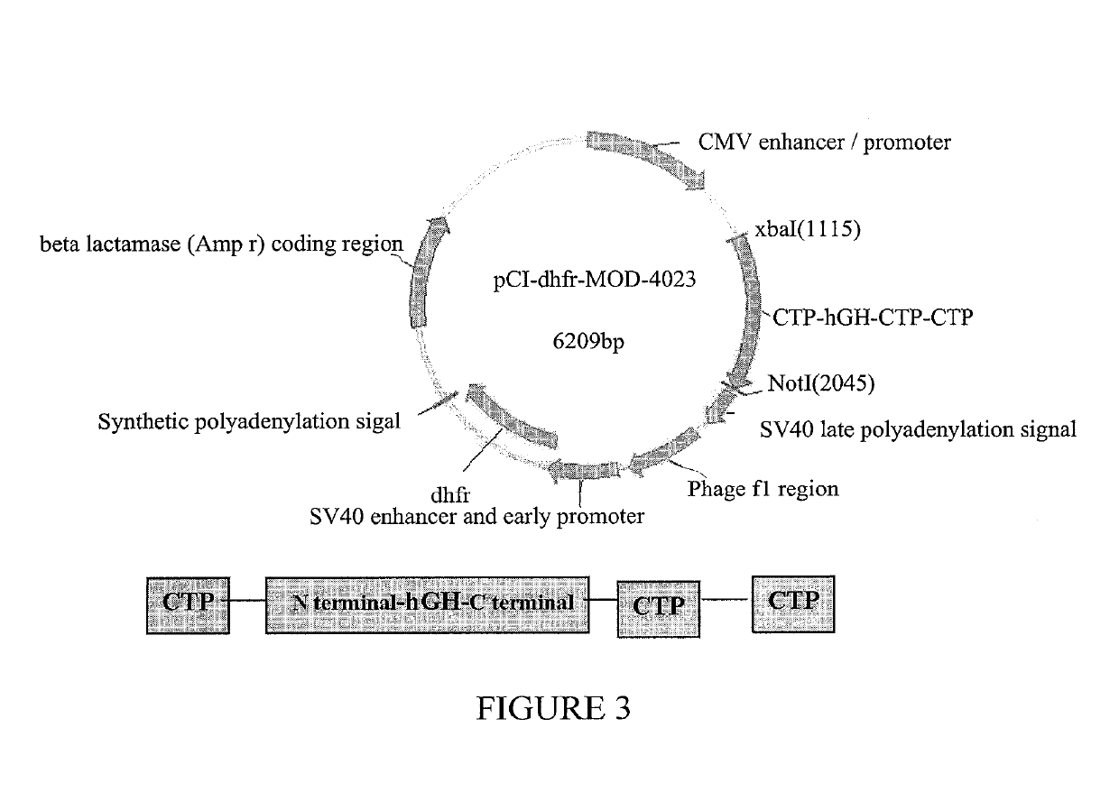 Methods of treatment with long-acting growth hormone