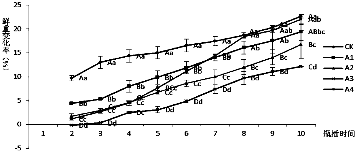 Fresh-cut chrysanthemum comprehensive fresh-keeping agent and fresh-keeping method and application thereof