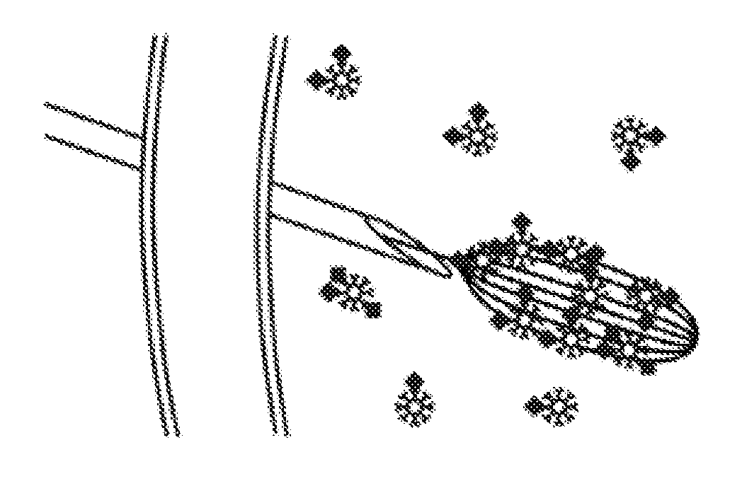 Magnetic apparatus and methods of use