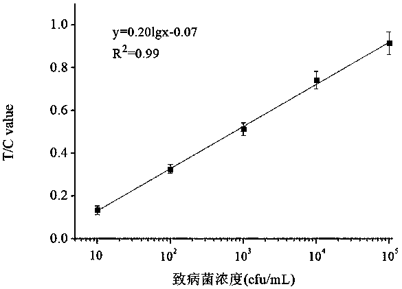 Method of detecting Vibrio parahaemolyticus