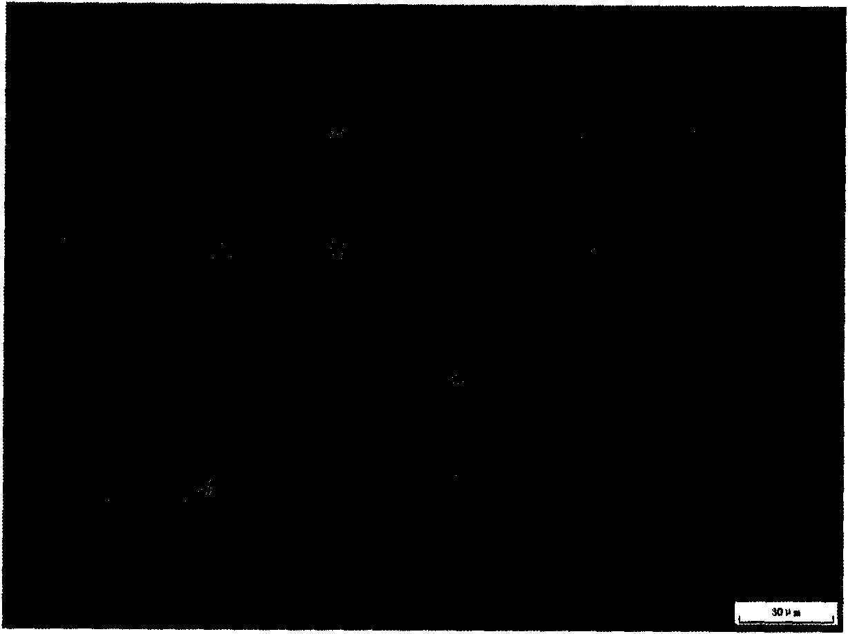 Rare earth flame resistance magnesium alloy and preparation method thereof