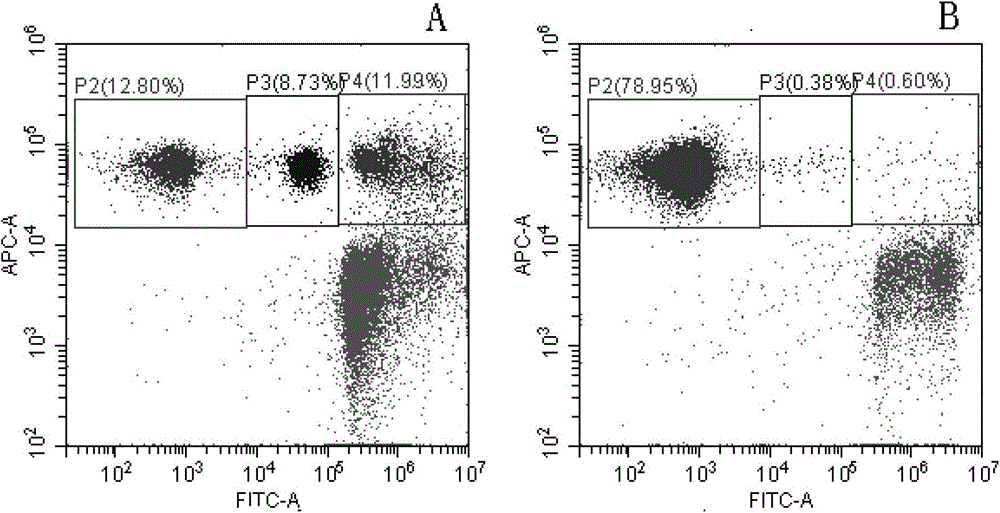 A method for analyzing and evaluating mouse bone marrow erythropoiesis by flow cytometry