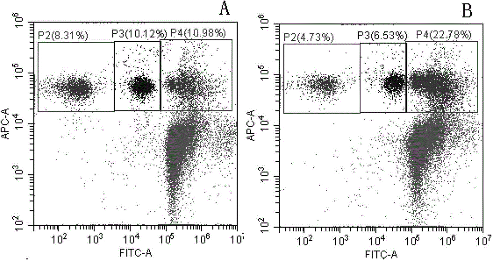 A method for analyzing and evaluating mouse bone marrow erythropoiesis by flow cytometry