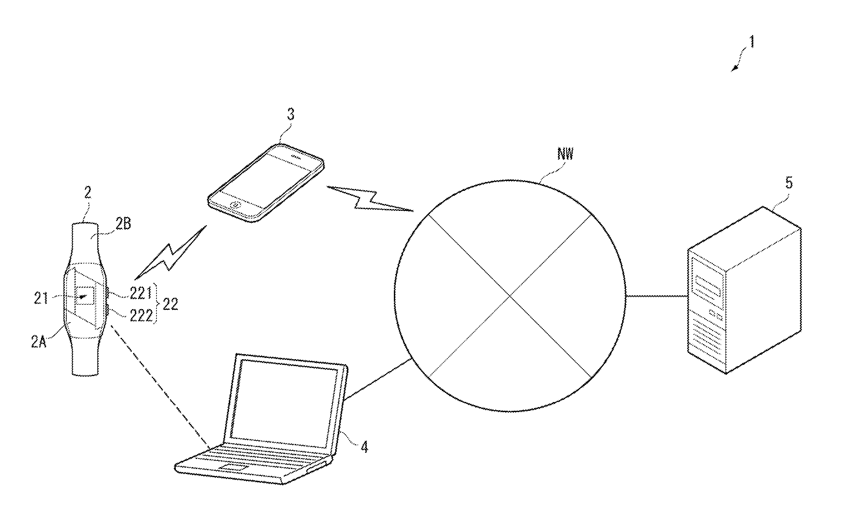 User information input apparatus and input screen display method