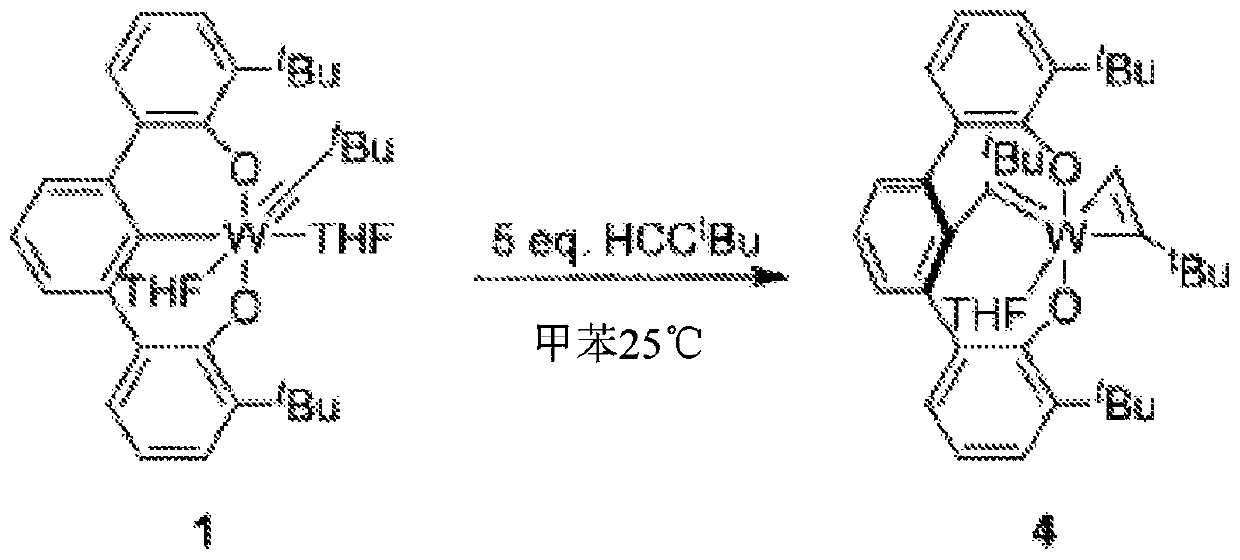 Macrocyclic poly(alkane)s and poly(alkane-co-alkene)s