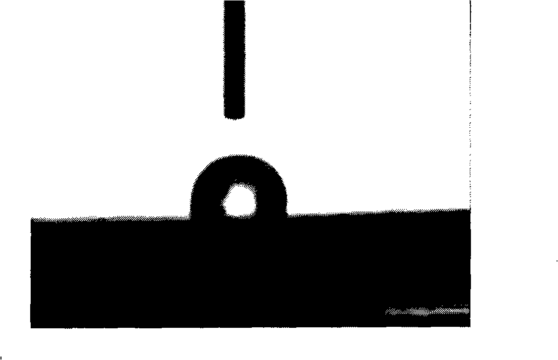 Preparation method of enamel surface coatings with hydrophobic effect