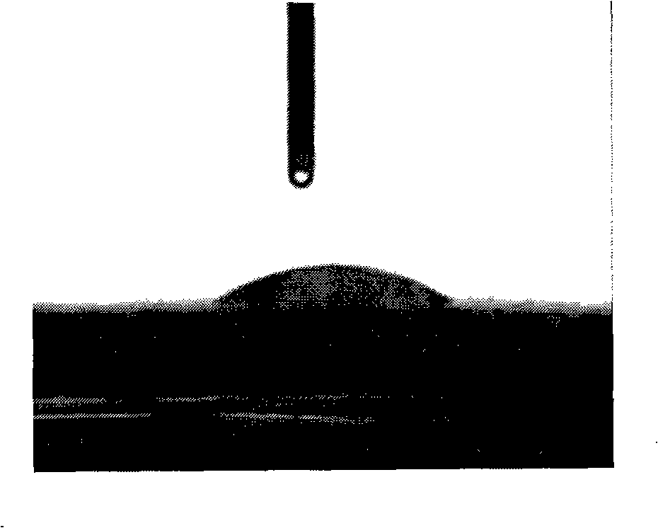 Preparation method of enamel surface coatings with hydrophobic effect