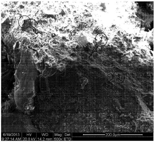 A kind of magnesium oxychloride cement recycled aggregate concrete and its preparation method