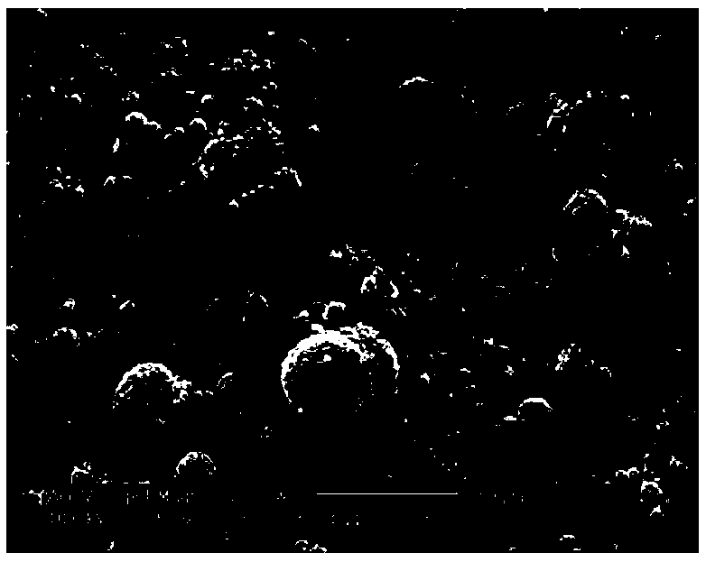 Isobutane dehydrogenation catalyst with spherical doughnut mesoporous material silica gel composite material as carrier, and preparation method and application of catalyst