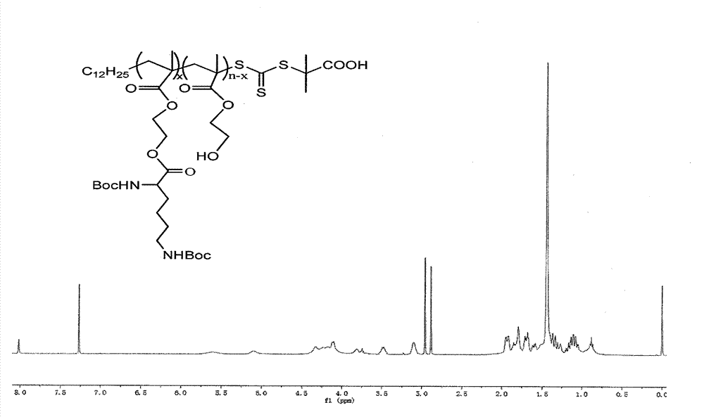 RAFT (reversible addition fragmentation chain transfer) preparation method of polylysine derivative