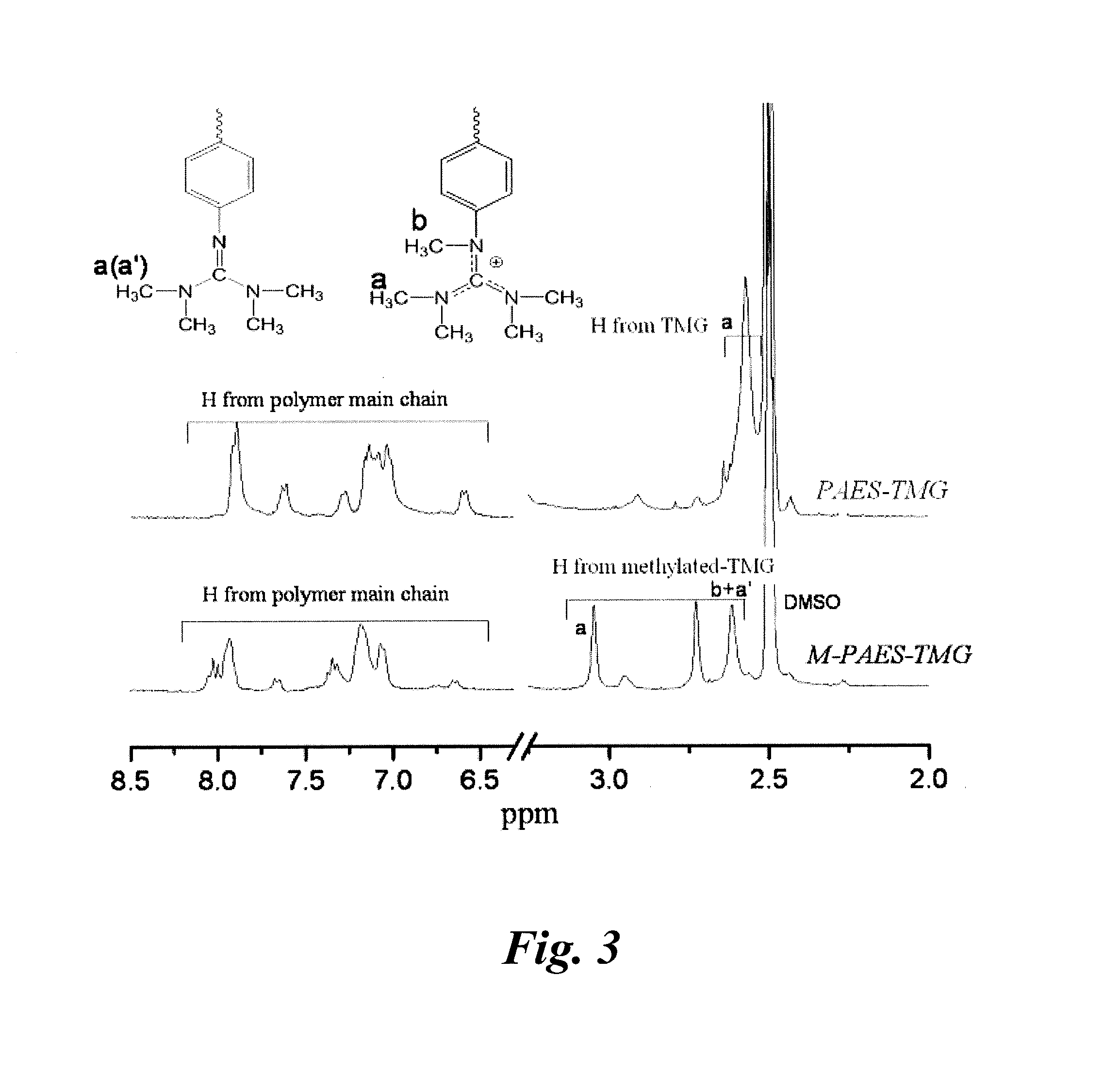 Anion exchange polymer electrolytes