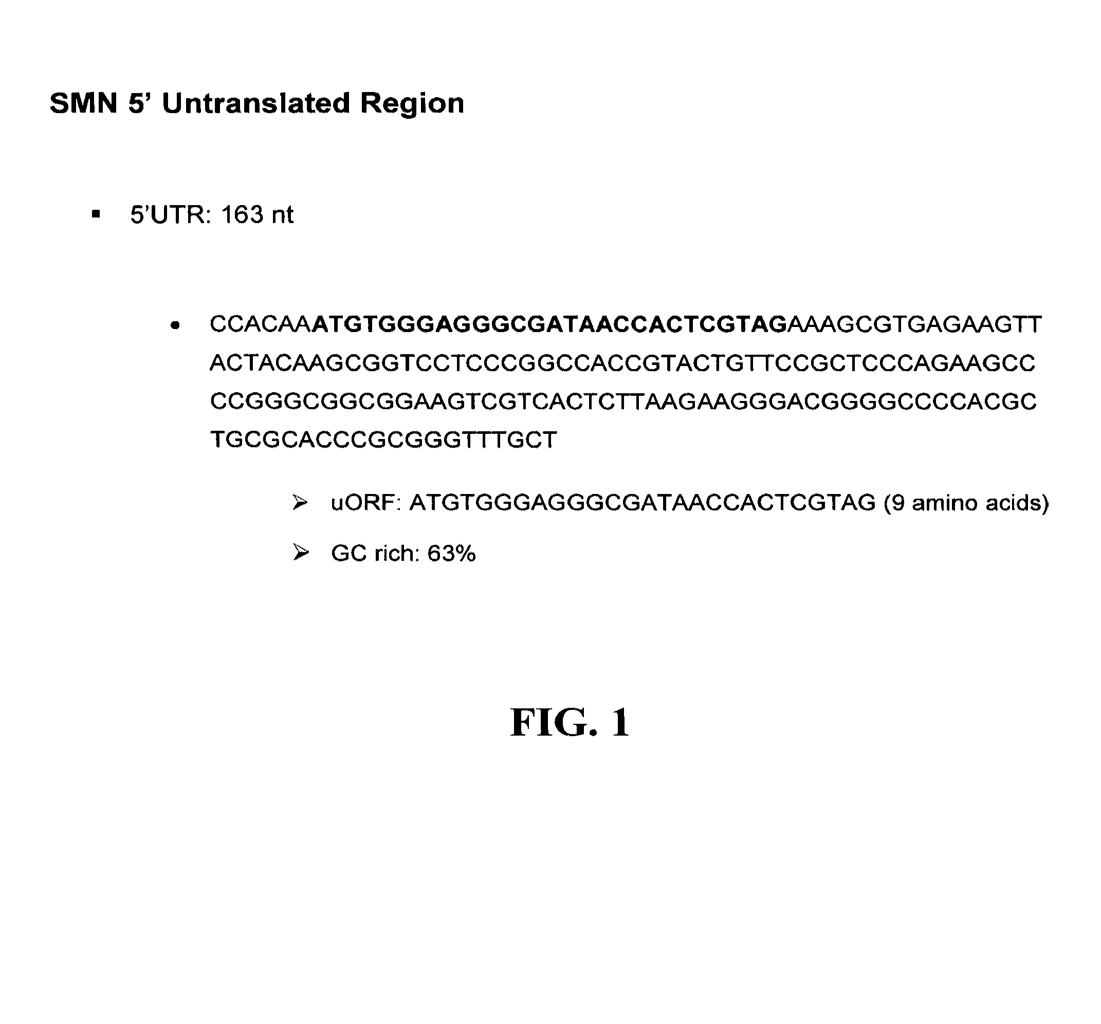 Methods of screening for compounds for treating spinal muscular atrophy using SMN mRNA translation regulation