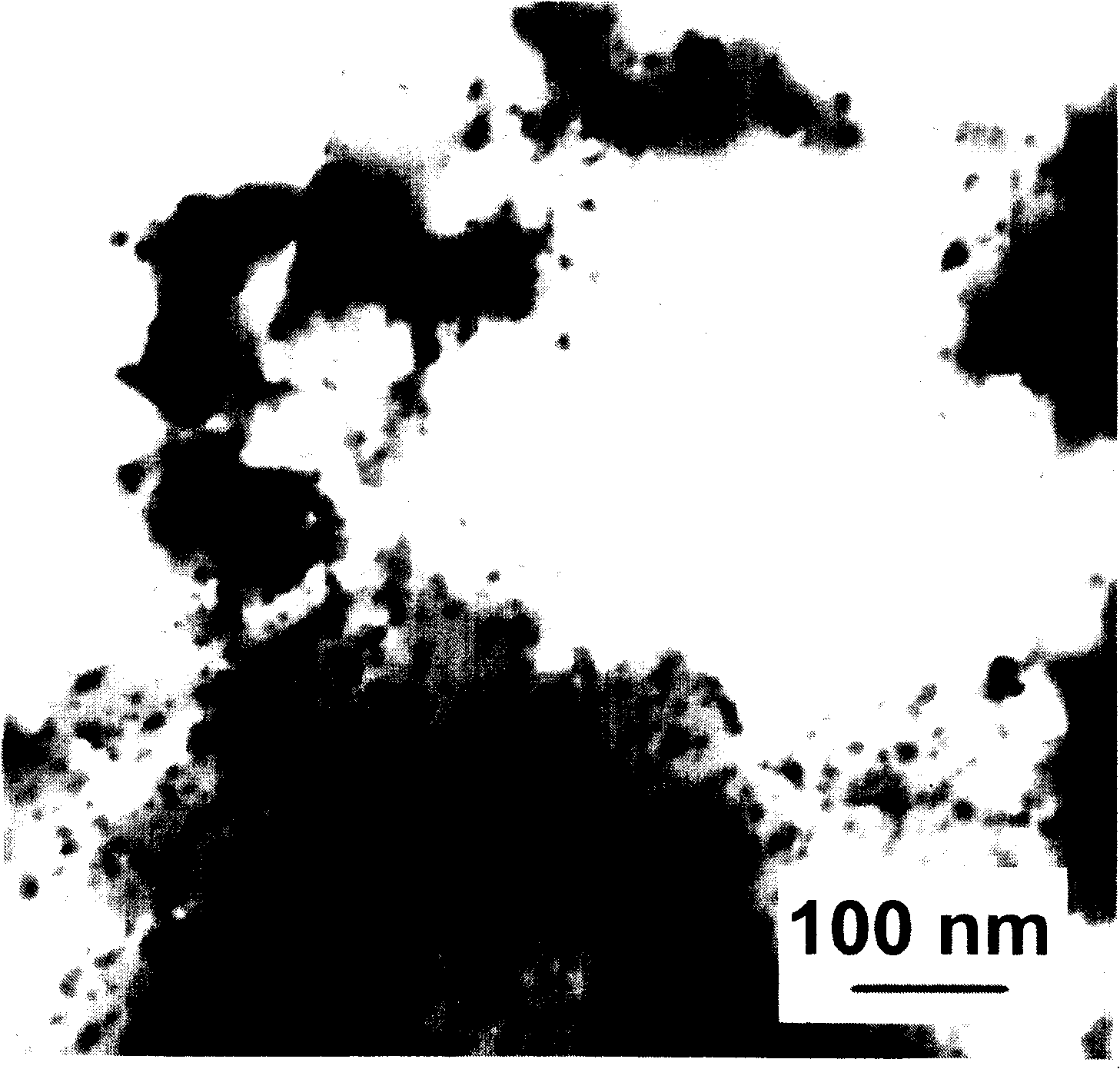 Nanometer composition particle of poly-o-phenyldiamine and silver and its prepn process