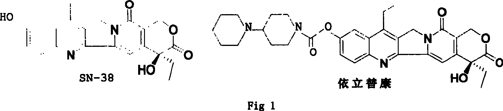 Water-soluble camptothecine derivative and its preparation process and application thereof