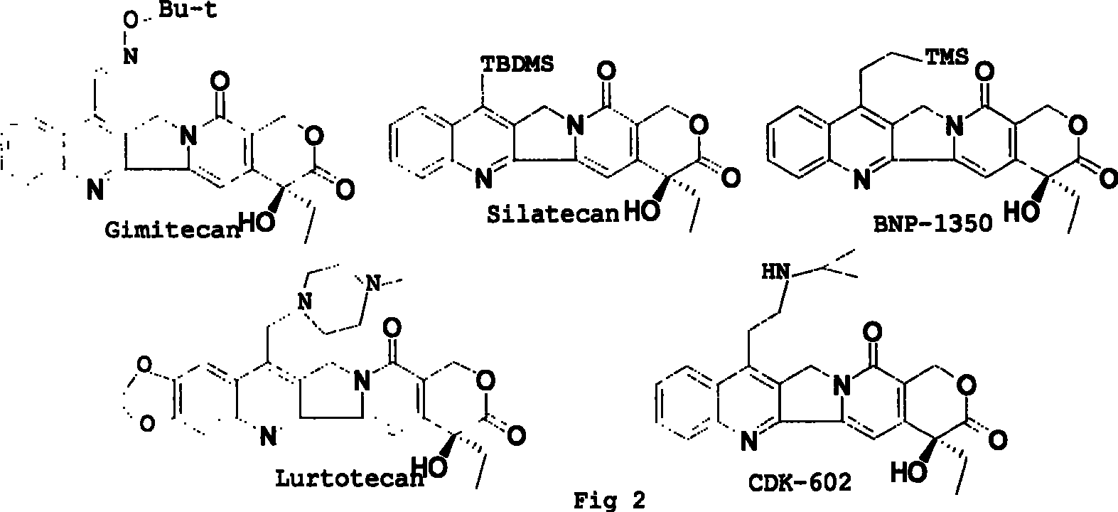 Water-soluble camptothecine derivative and its preparation process and application thereof