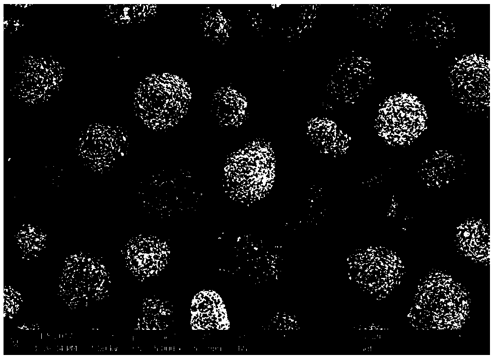 Preparation method of modified high nickel ternary cathode material