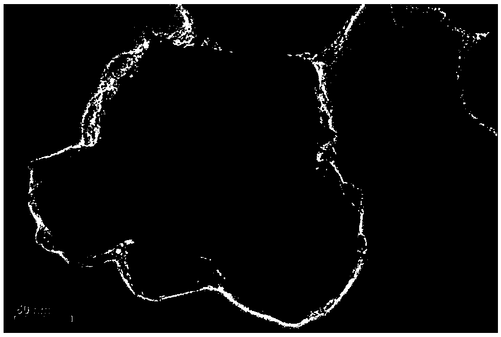 Preparation method of modified high nickel ternary cathode material