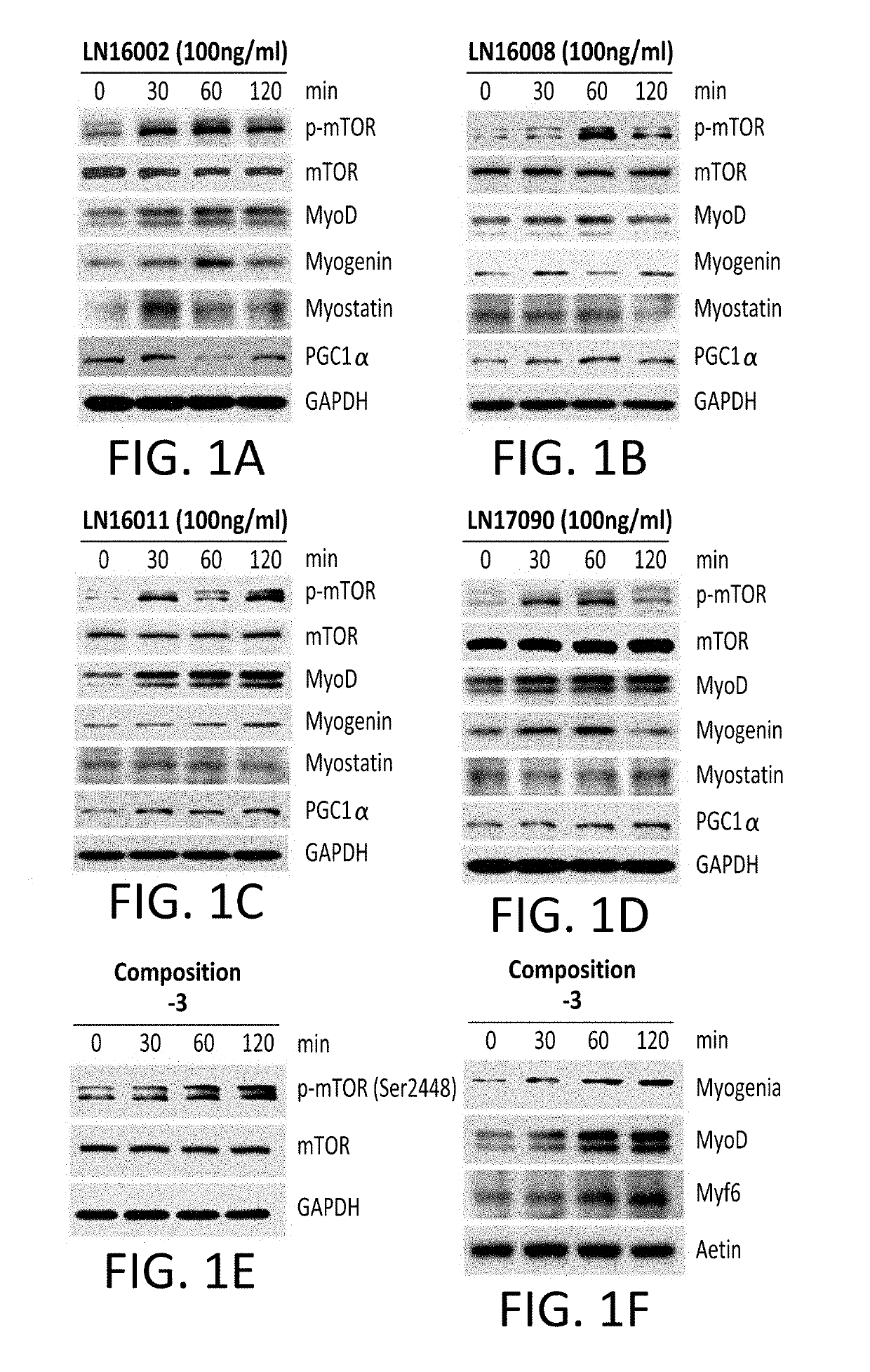 Dietary supplements and compositions for enhancing physical performance and energy levels