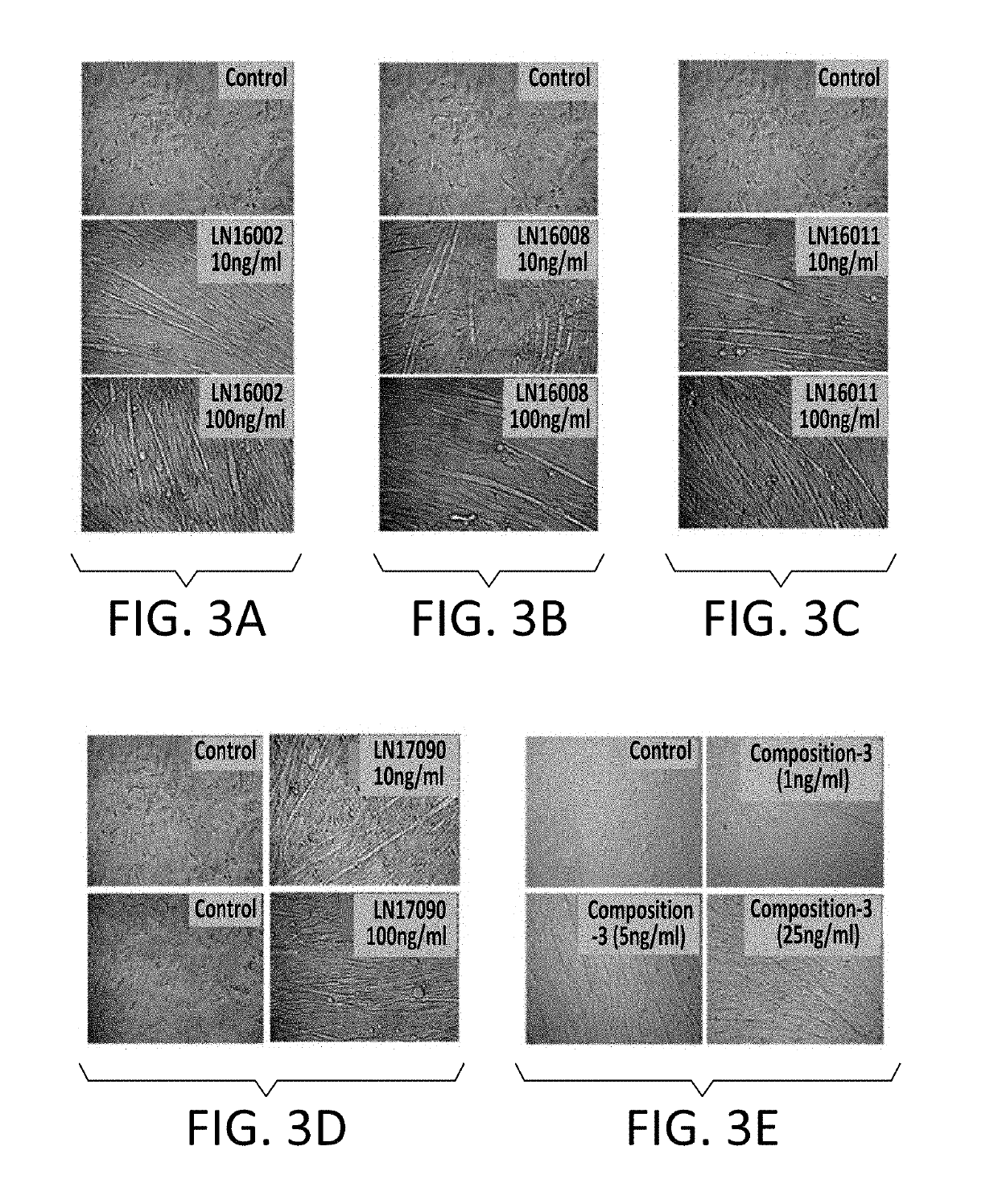 Dietary supplements and compositions for enhancing physical performance and energy levels