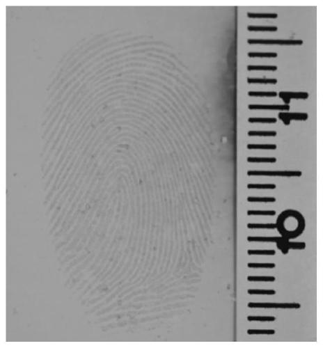 A kind of flexible composite material with sandwich structure and its preparation method and application