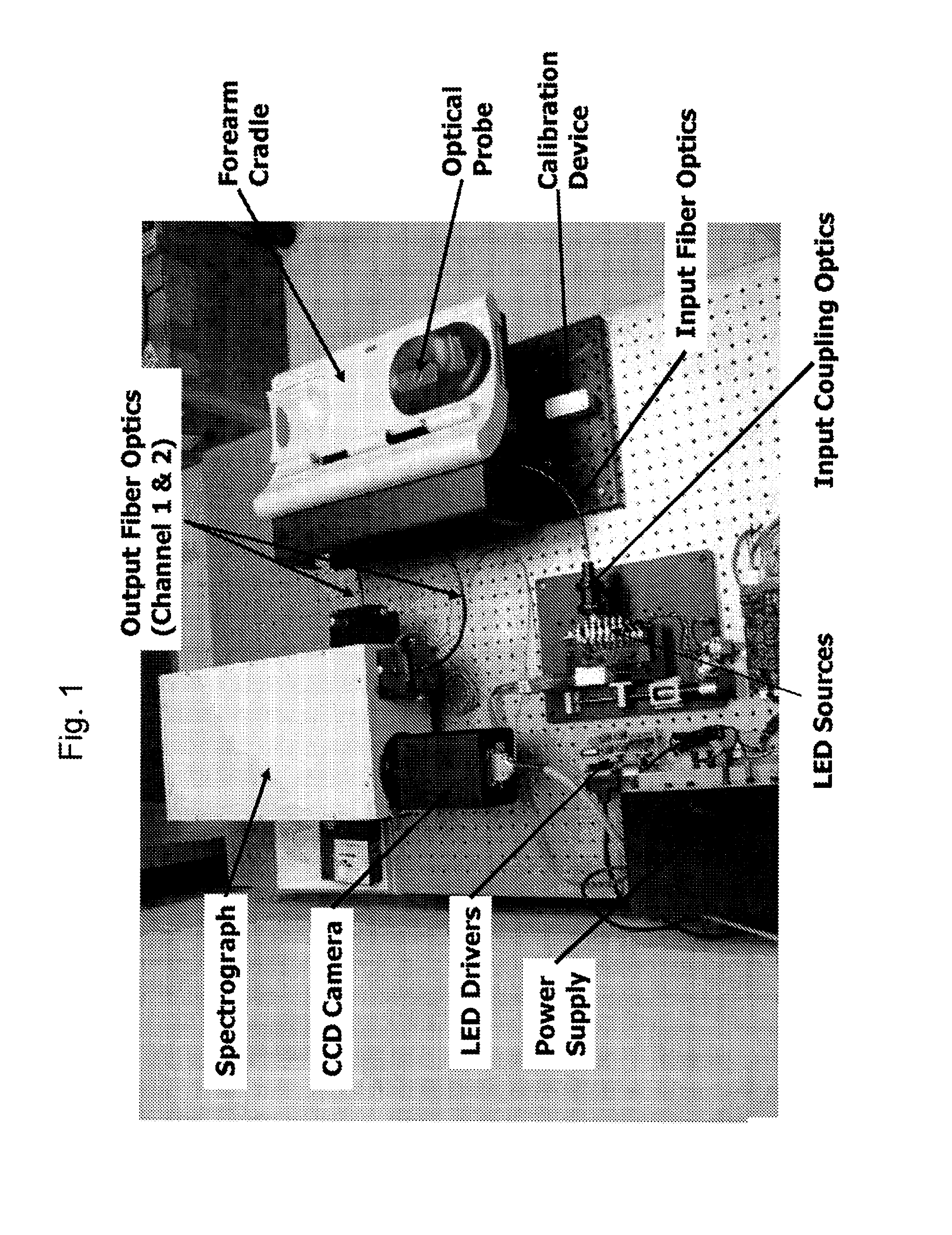 Method and Apparatus to Compensate for Melanin and Hemoglobin Variation in Determination of a Measure of a Glycation End-Product or Disease State Using Tissue Fluorescence