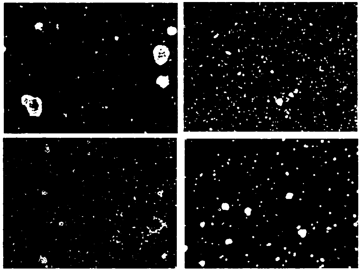 Culture medium for culturing immune cells isolated from umbilical cord blood and culture method thereof