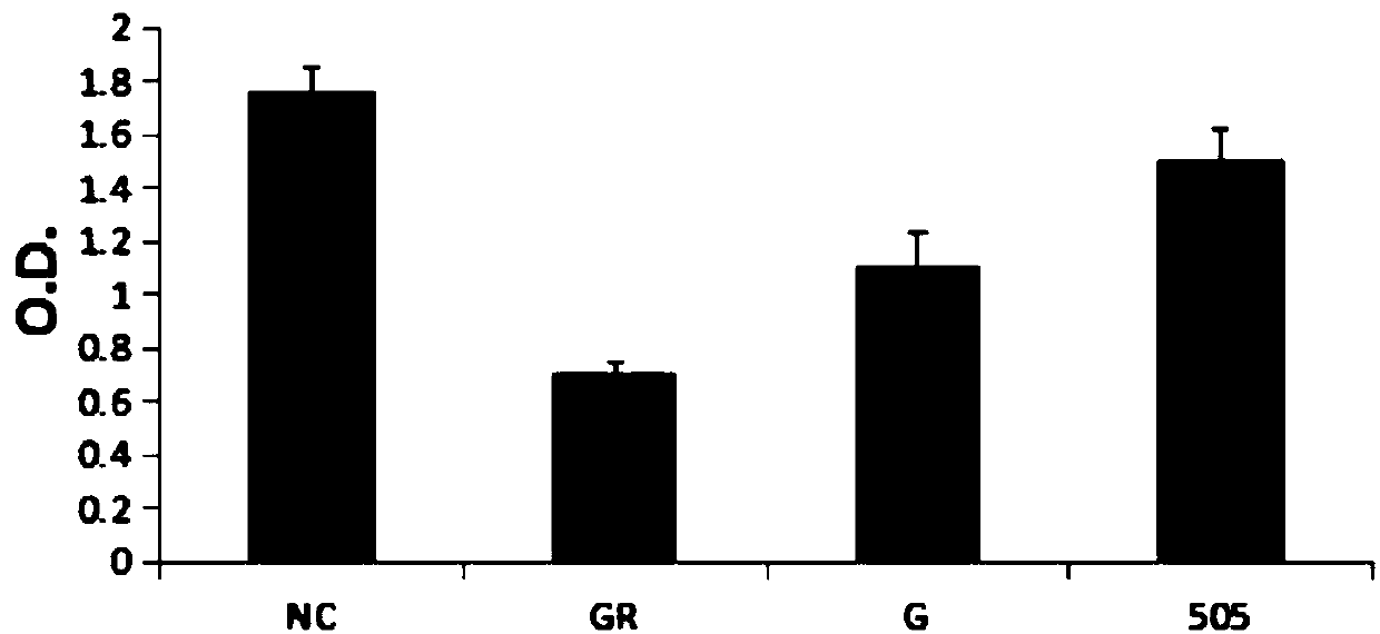 Culture medium for culturing immune cells isolated from umbilical cord blood and culture method thereof