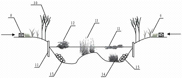 Drainage regulation and storage purification wetland construction system for dry land in irrigation area