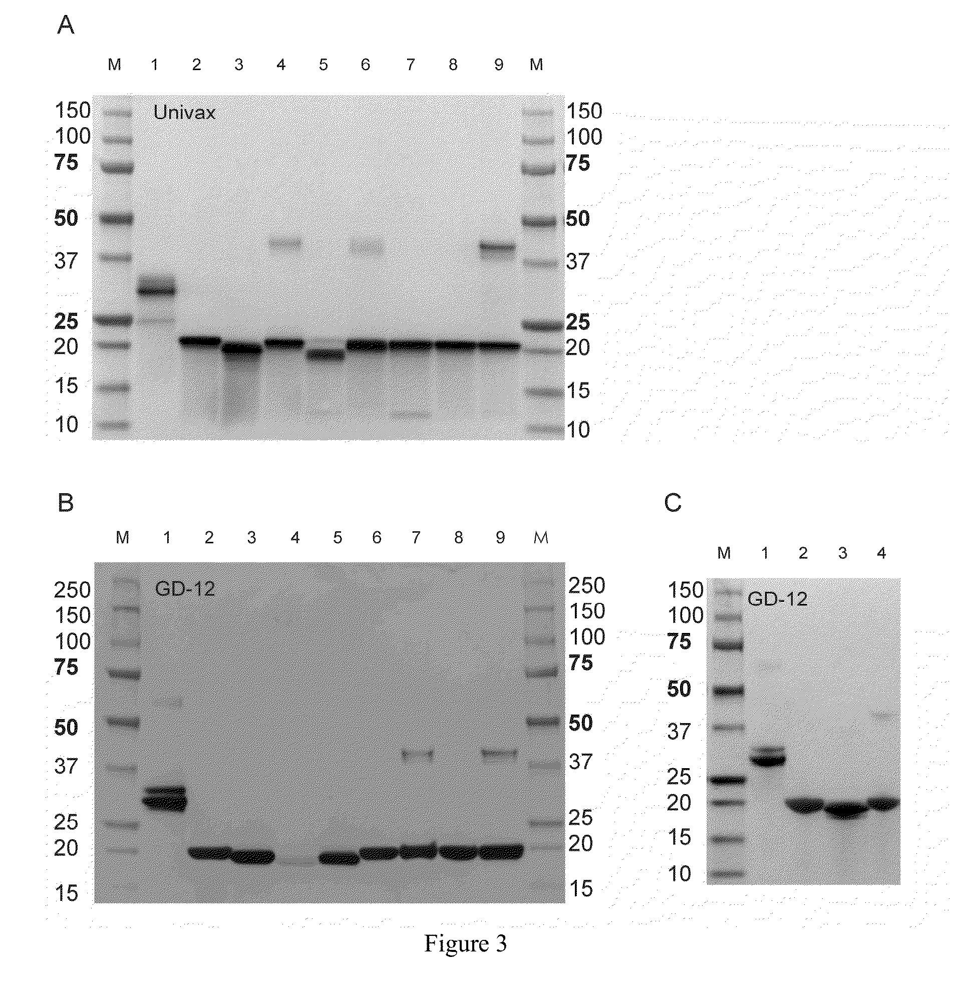 Ricin vaccine and methods of making thereof