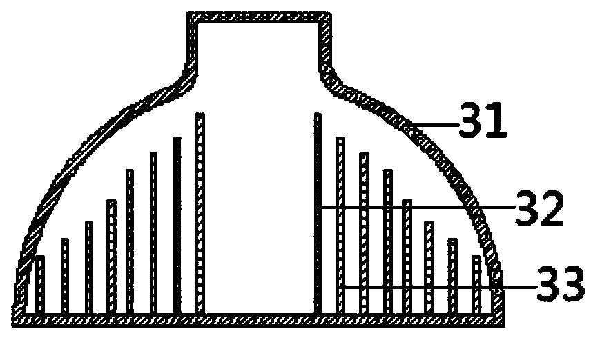 Efficient food material purification device and method based on water catalyst