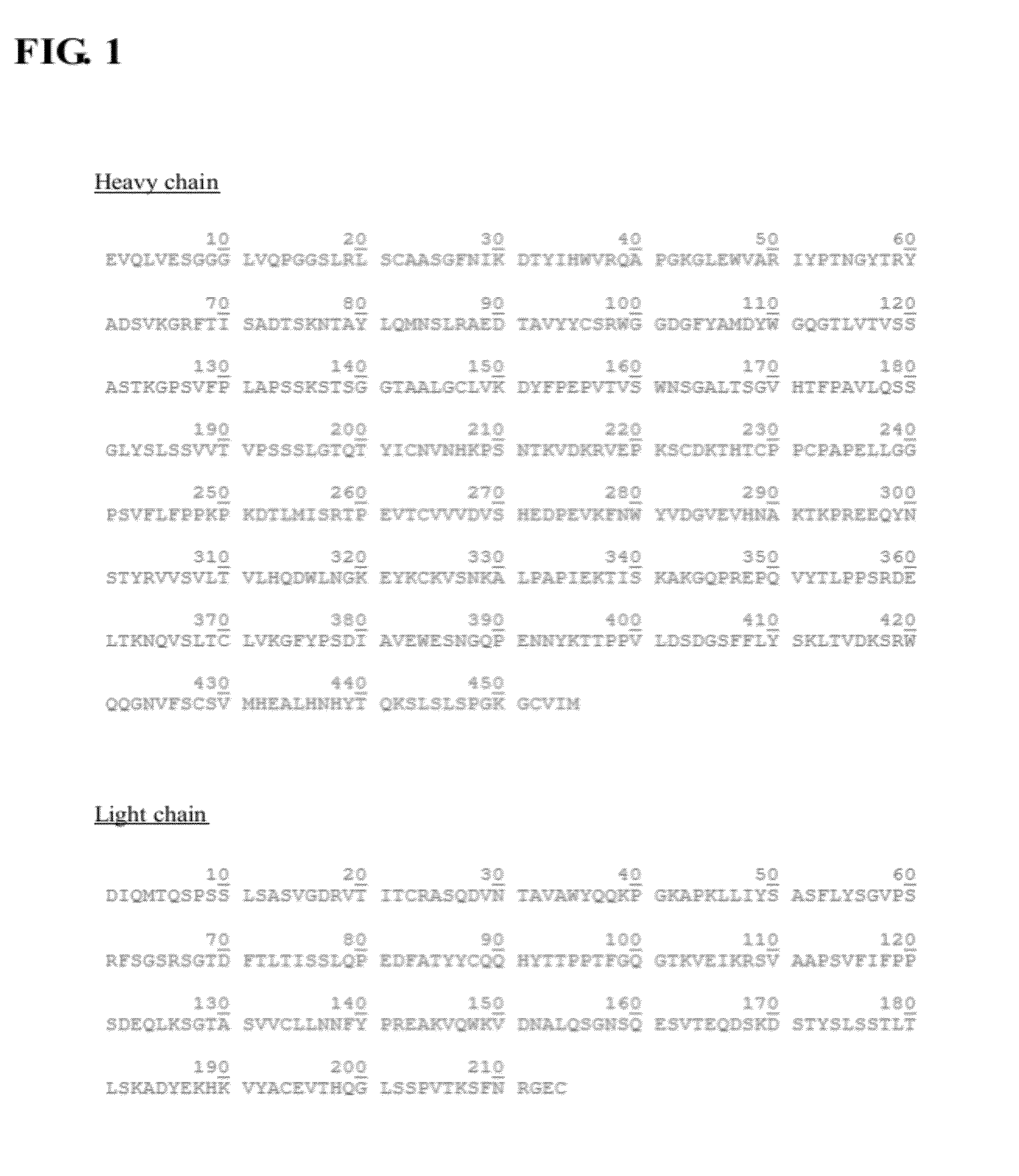 Protein-active agent conjugates and method for preparing the same