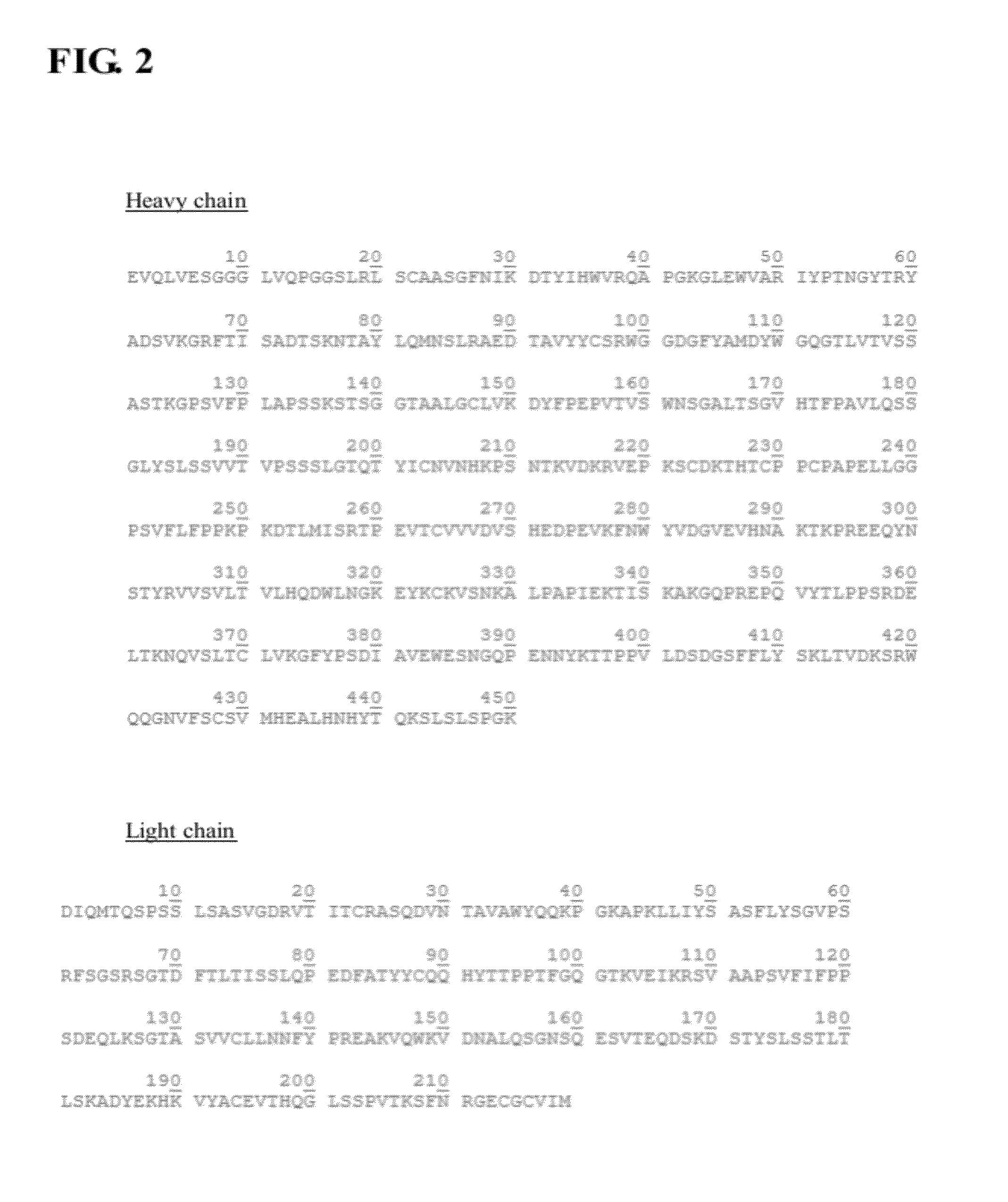 Protein-active agent conjugates and method for preparing the same