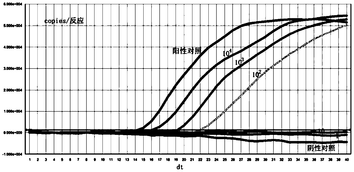 Herpes simplex virus type 1 real-time fluorescent nucleic acid constant temperature amplification detection kit