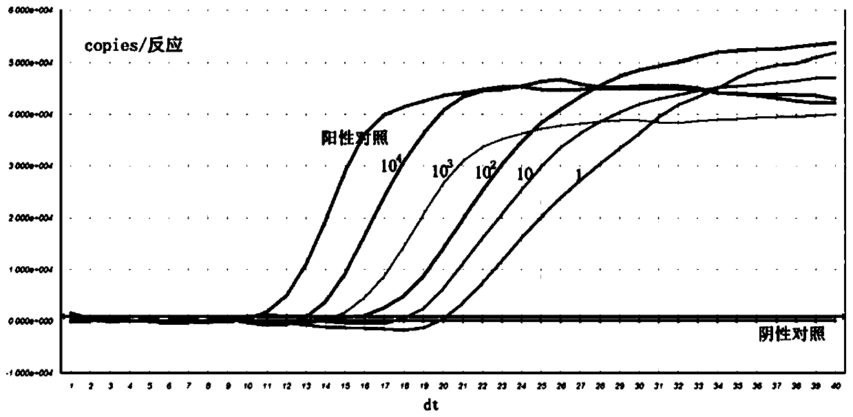 Herpes simplex virus type 1 real-time fluorescent nucleic acid constant temperature amplification detection kit