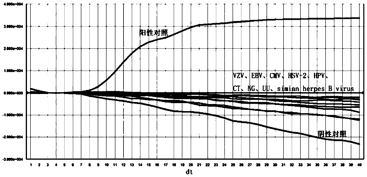 Herpes simplex virus type 1 real-time fluorescent nucleic acid constant temperature amplification detection kit