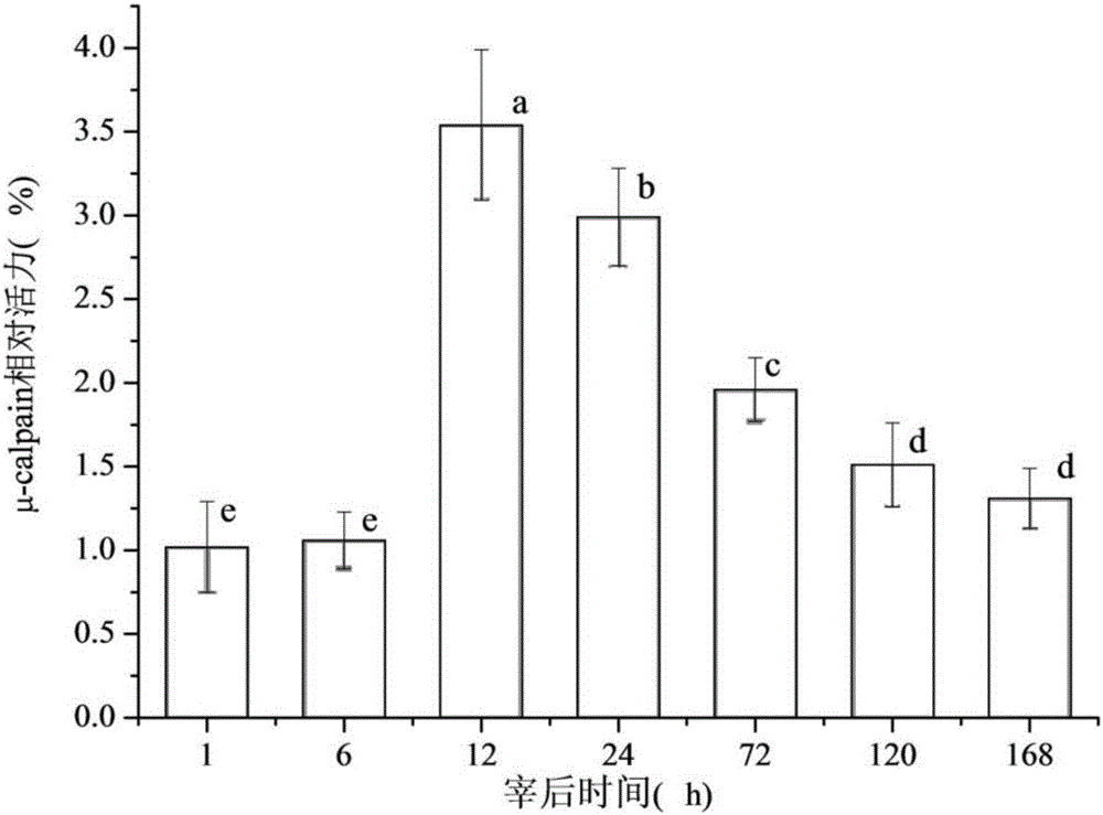 Method of judging optimum maturity of muscle based on [mu]-calpain activity