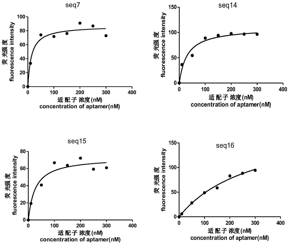 A group of oligonucleotide aptamers that specifically recognize Bacillus cereus