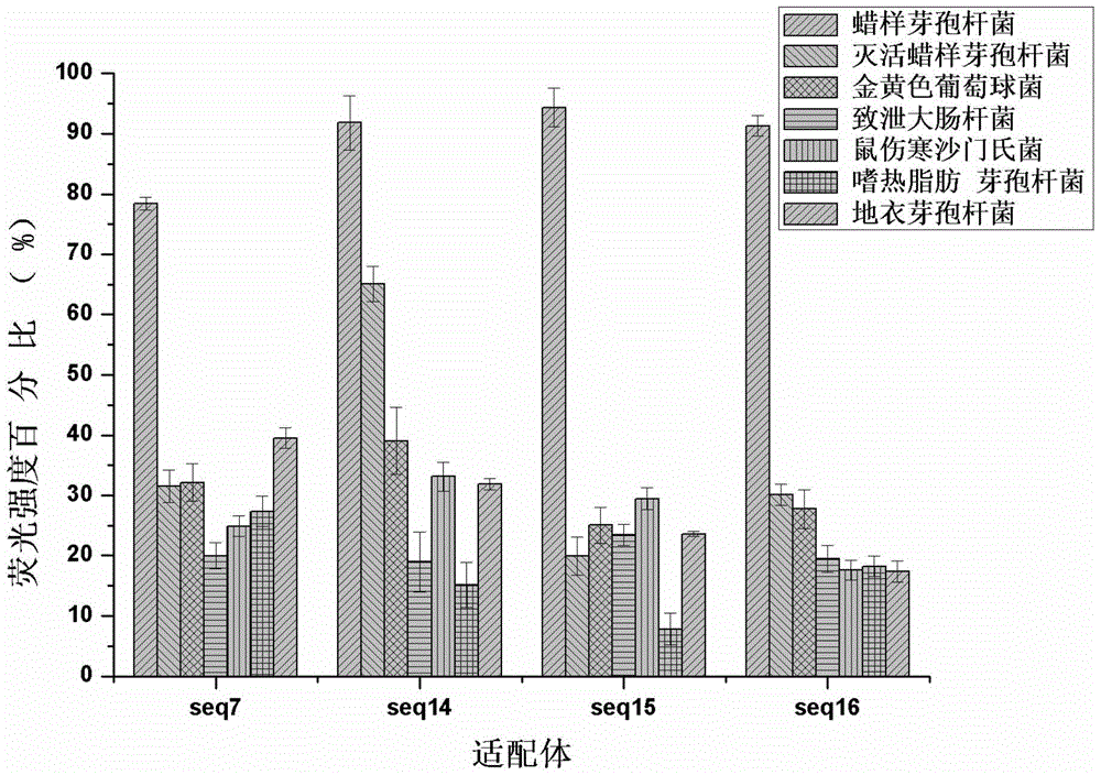 A group of oligonucleotide aptamers that specifically recognize Bacillus cereus